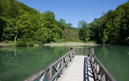 Hotel Gasthof zum Ochsen - image 3