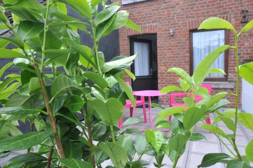 Hôtel du Perron - image 13