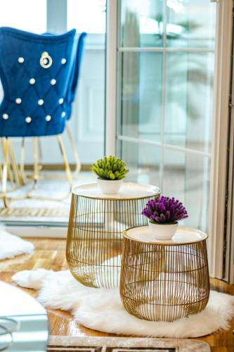 Luxury Apartman Karic