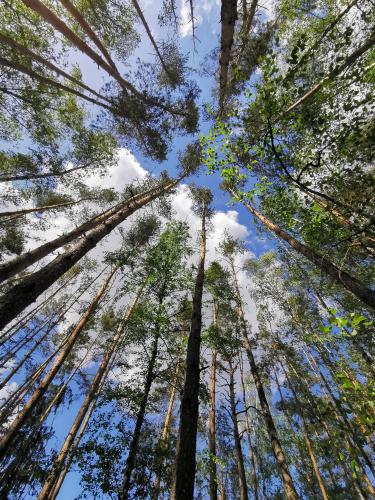 Wohnung München (Wohnung Munchen) in Neufahrn bei Freising