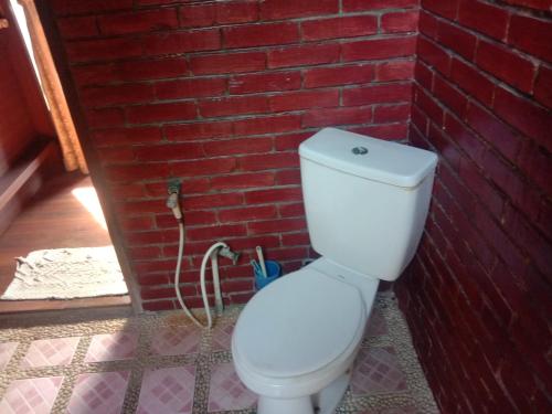 Bambu kuning Tanjung lesung