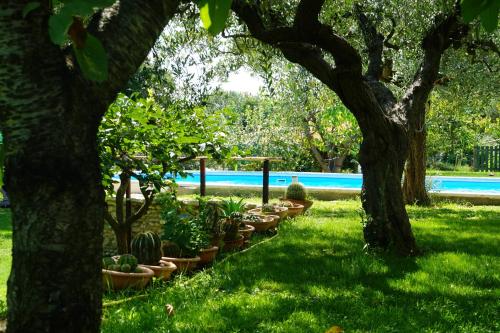 Garden, 5 bedrooms villa with private pool enclosed garden and wifi at Treglio 6 km away from the beach in Treglio