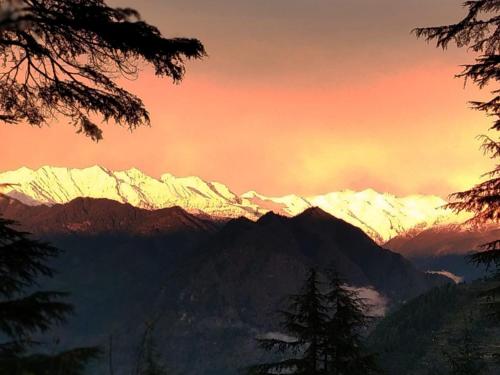 Green Himalayan Homestay