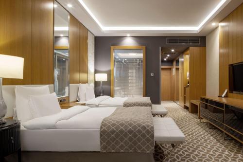Deluxe Twin Room with City View