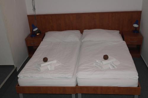 Wellness hotel Harrachovka - image 4