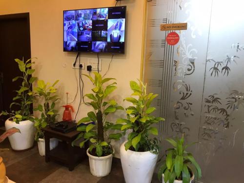 共用Lounge/電視區