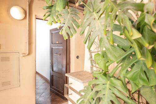 Stunning Campo De Fiori Apartment with Terrace, Řím (fotografie 8)