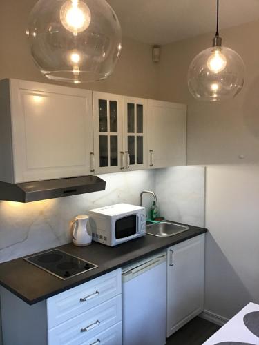 One-Bedroom Apartment image 10