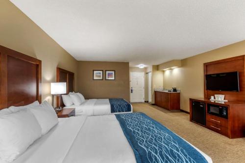 Comfort Inn & Suites Jackson - West Bend