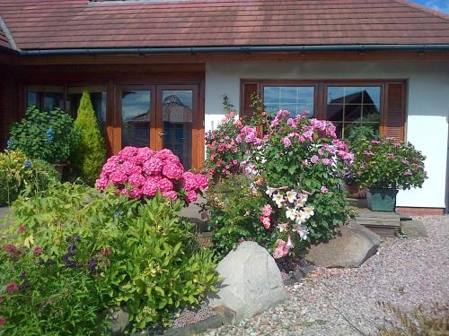 Garden, Pinetree Lodge Druridge Bay in Broomhill