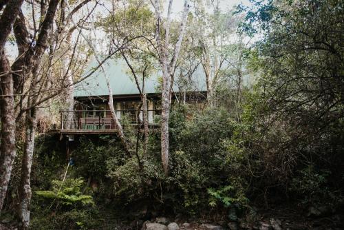 . Rockwood Karkloof Forest Lodge & Mountain Cabin