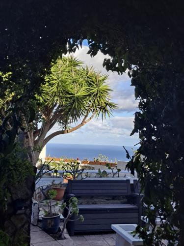 Tenerife apartment 100m2 CASA DE DON QUIJOTE with a terrace of 100m2 with a view of the ocean and Teide volcano and a garden of 600m2 in Icod de los Vinos