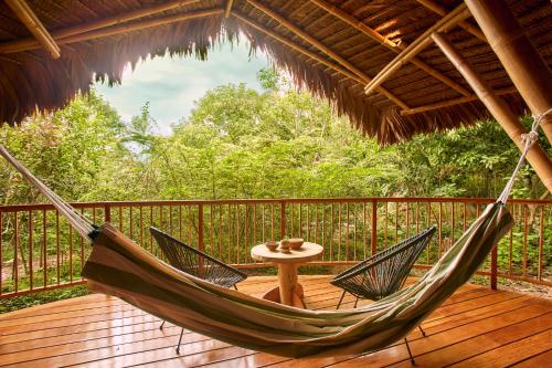Bosque Guardian Lodge in Tarapoto