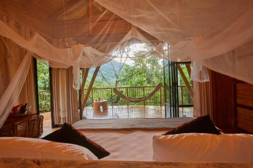 Bosque Guardian Lodge in Tarapoto