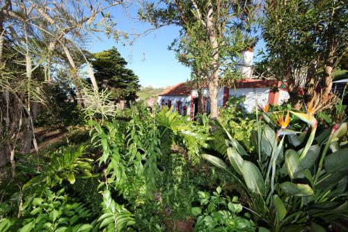 Casa do Ribeirinho - main image