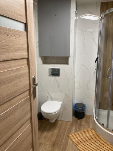 Apartament z widokiem na Szrenicę w sercu Szklarskiej Poręby, Szklarska Poręba (foto 9)