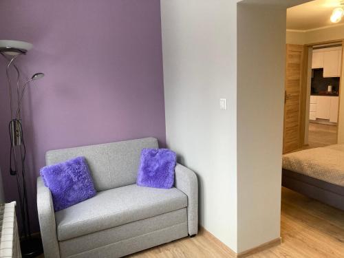Apartament z widokiem na Szrenicę w sercu Szklarskiej Poręby, Szklarska Poręba (foto 6)