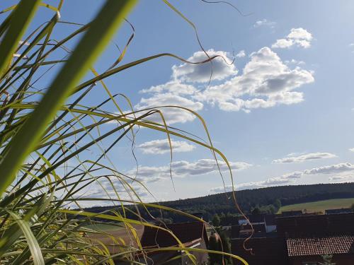 Ferienwohnung am sonnigen Haimberg