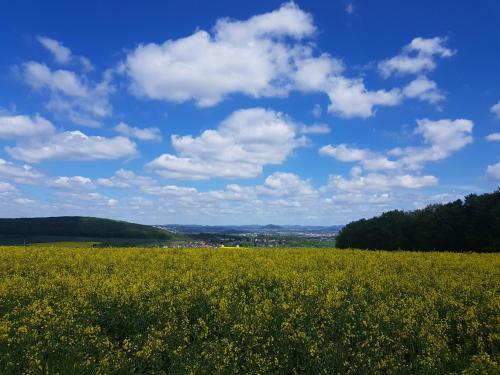 Ferienwohnung am sonnigen Haimberg