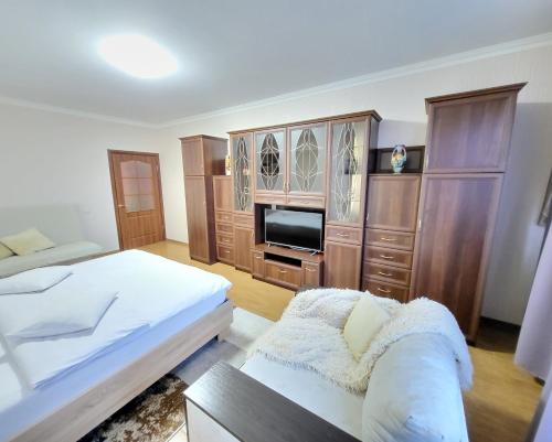 One-Bedroom Apartment image 2