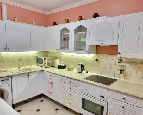 One-Bedroom Apartment image 6