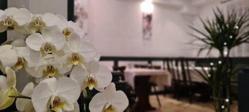 Hotel Lamm - image 4