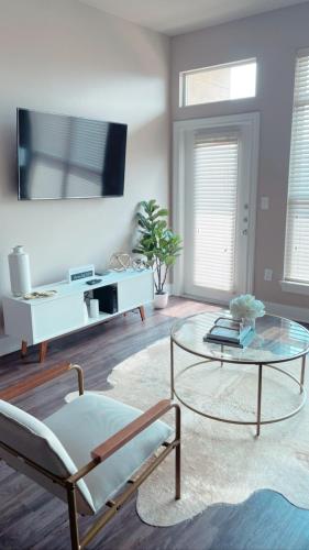 2B/2B Houston Apartment