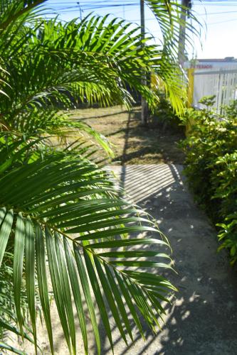 trädgård, Casa Tropical - Boca Chica in Altos de Chavón