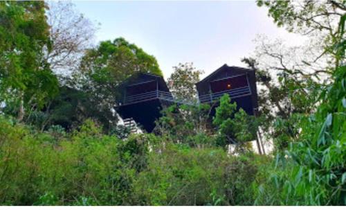 WAYANAD WILDLIFE RESORT
