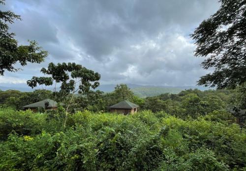 The Postcard Hideaway, Netravali Wildlife Sanctuary, Goa