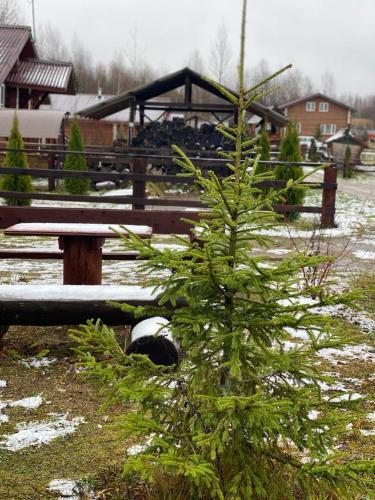 Russkaya Usadba - image 18