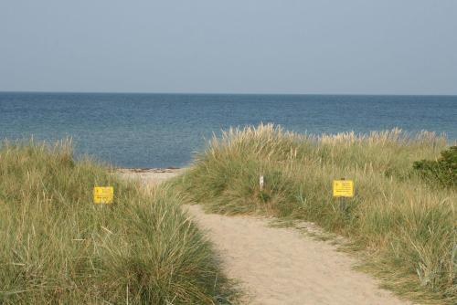 Haus-Turmspucker in Sulsdorf