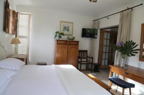 At Villa Fig Guest House - image 2