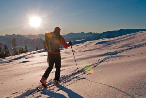 Hotel Berghof - image 12