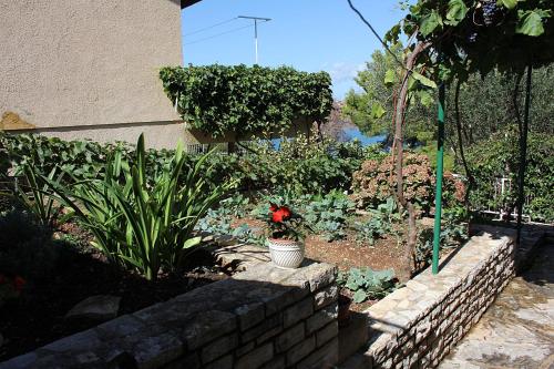 Apartment Andrija - image 2