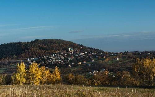 Leśny Ogród