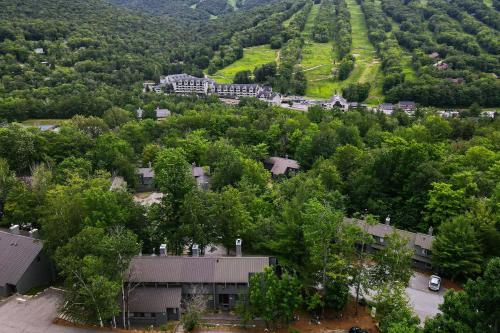 Village of Loon Mtn Condo with Fireplace and Balcony! - image 8