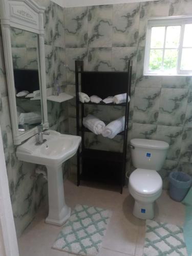 Bathroom, Grace Garden Guesthouse in Ocho Rios