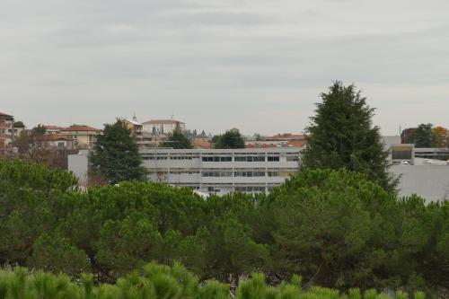 Dianas'house centro-ospedale
