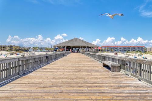 Tybee Blue Cat