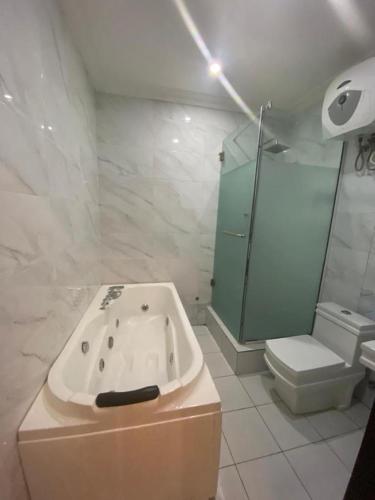 La mango (with swimming pool and gym/90k)