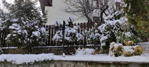 Guest House Ela - image 8