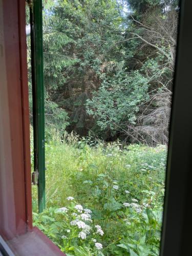 Hexenhaus im Jagdhof Carlshaus, Wernigerode (Foto 10)
