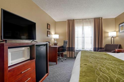 Comfort Inn University Area