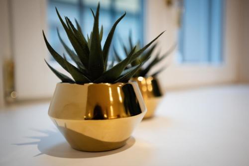 Apartment image 7