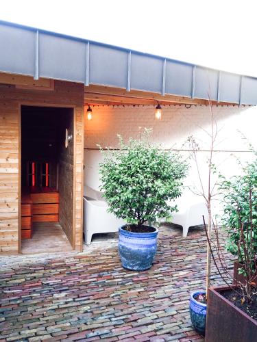 B&B Tholen t’Uusje in Tholen