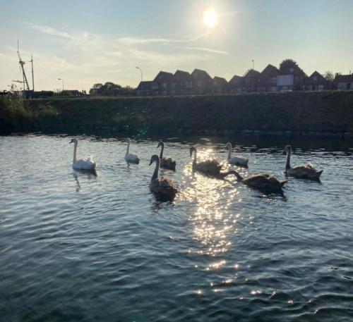 B&B Tholen in Толен