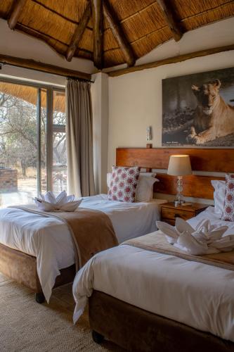 Tshikwalo Game Lodge