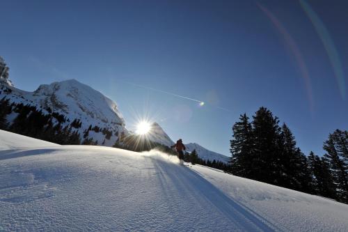 Berg & Bett Säntis Lodge - image 5