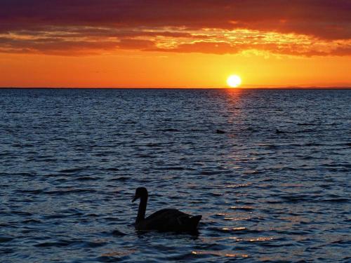 LHMW12102-FeWo-an-de-Moehl in Lemkenhafen